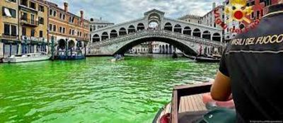 News,Green water dye Venice,Grand Canal green,Venice canal green,