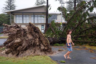 australia storm alfred,storm alfred,cyclone alfred,queensland alfred storm,alfred storm heavy rain,News,australia storm alfred,storm alfred,cyclone alfred,queensland alfred storm,alfred storm heavy rain,News,australia storm alfred,storm alfred,cyclone alfred,queensland alfred storm,alfred storm heavy rain,News,News,alfred storm heavy rain,queensland alfred storm,cyclone alfred,storm alfred,australia storm alfred,