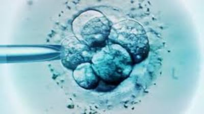 Viral,United States,Break record,Baby,Record,Oldest ,Embryo,Viral,United States,Break record,Baby,Record,Oldest ,Embryo,Viral,United States,Break record,Baby,Record,Oldest ,Embryo,Viral,United States,Break record,Baby,Record,Oldest ,Embryo,