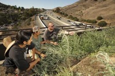 Largest Wildlife Crossing in Los Angeles,Viral,Largest Wildlife Crossing in Los Angeles,Viral,Largest Wildlife Crossing in Los Angeles,Viral,Largest Wildlife Crossing in Los Angeles,Viral,Largest Wildlife Crossing in Los Angeles,Viral,Largest Wildlife Crossing in Los Angeles,Viral,Viral,Largest Wildlife Crossing in Los Angeles,