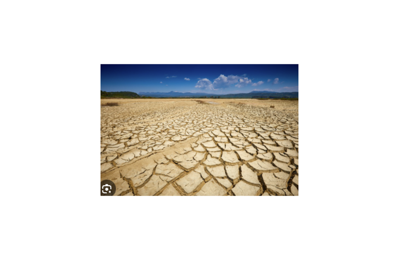 News, Environmental Trends, Global Warming, Extreme Weather, South Africa Weather,Climate Change,