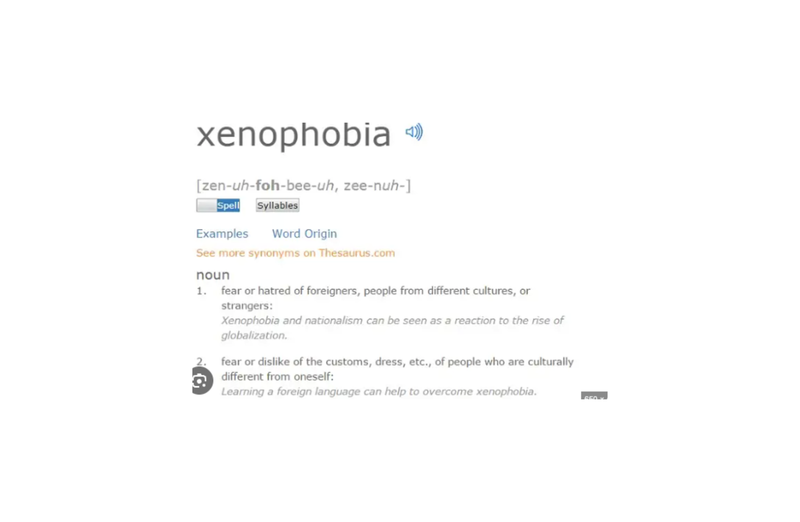 Politics, Immigration Management, South African Unemployment, Border Control Issues, Systemic Failures,Xenophobia South Africa,