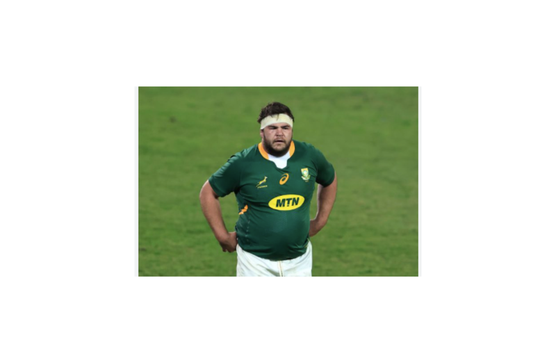 Sport, Rassie Erasmus Squad Update, World Cup Winner Fitness, Bok Front Row Return, Springboks Injury News,Frans Malherbe Comeback,
